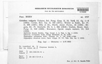 Image Associated With the Occurence